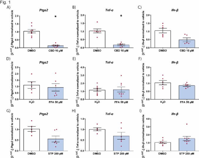 Effect of ASMs on inflammation markers in microglia. Effect of CBD (A-C), FFA (D-F) and STP (G-I) on the mRNA levels of Ptgs2, Tnf-α or Ifn-β on microglial cells stimulated with LPS or poly I:C. Levels of Ptgs2 (A, D and G), Tnf-α (B, E and H) and Ifn-β (C, F and I) normalized to vehicle control in microglia pretreated with the drug for 45 min, followed by LPS (10 μg/mL) (A, B, D, E, G and H) or poly I:C (10 μg/mL) (C, F and I) for 6 h. Data are expressed as mean ± SEM (n = 3) *p < 0.05. CBD cannabidiol, DMSO dimethyl sulfoxide, FFA fenfluramine, STP stiripentol