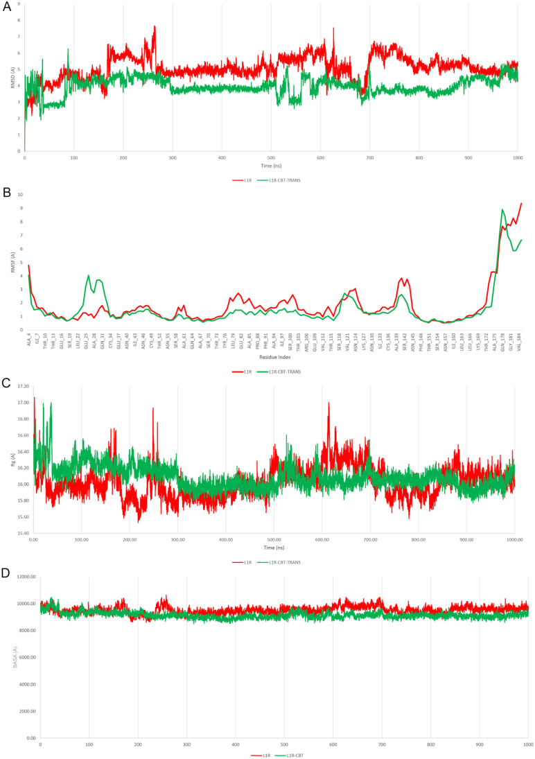 Plots of structural fluctuations of L1R alone (red) and L1R-trans-MCS (gory) over 30 ns MD simulation. (B) RMSD values in Angstroms (Å), (B) RMSF values in Angstroms (Å), (C) Rg values in Angstroms (Å), and (D) SASA values in Angstroms (Å).