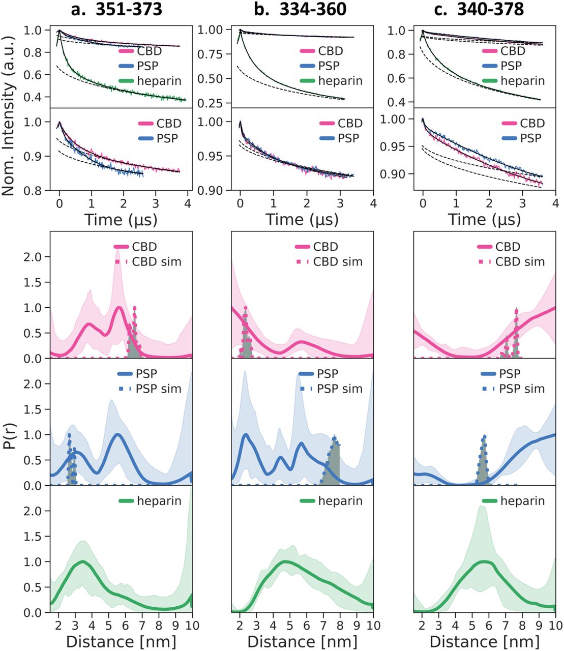Intra-molecular DEER distance distribution, P(r), measured for heparin fibrils (green, solid), CBD lysate-seeded fibrils (pink, solid), and PSP lysate-seeded fibrils (blue, solid). Expected distances (dotted curves) were simulated from the published cryo-EM structures of the CBD fold (PDB: 6TJO; pink, dotted) and PSP fold (PDB: 7P65; blue, dotted) [19, 21] by the RotamerConvolveMD method [36] and are illustrated on the schematic view of these folds in Fig. 1. Three spin-label pairs were measured and simulated for (a) residues 351 & 373, (b) residues 334 & 360, and (c) residues 340 & 378. Replicates are shown in SI Figures, Fig. S5 to Fig. S7. The raw DEER signal V(t) are shown with the fit (in black) and the background fit (in black dotted).