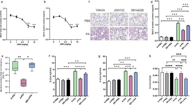 Pharmacological activation of CB2R ameliorates PA-induced alveolar damage and decline in lung function. C57BL/6 J WT mice were treated with vehicle (V) or JWH133 (J) or SR144528 (SR) + JWH133 (J) and exposed to either PBS (control) or PA. Lung injury was assessed after 24 h. Total cell number (a) and total protein content (b) in the BALF were determined from the mice treated with varying doses of JWH133 and exposed to PA infection (0 mg/kg JWH133:vehicle). c Representative H&E images of mice lungs. Total protein content in the BALF (d) was determined. e The lung bacterial burden was evaluated by measuring the bacterial load in the whole lung. f Tissue dampening (G), g tissue elastance (H), and, h static lung compliance (Cst) were examined using the FlexiVent system. n = 5–8, **p < 0.01, ***p < 0.001, ****p < 0.0001. Data are presented as mean ± SEM