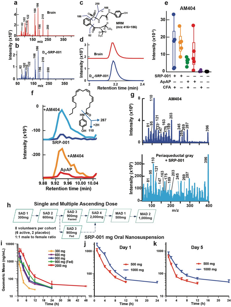 Antinociception/Analgesia is mediated via AM404 production in the periaqueductal gray (PAG) region of the brain and human single and multiple ascending doses (SAD and MAD) Phase 1 clinical trial reveals a favorable pharmacokinetic profile. (a) Detection of deuterated (D10-SRP-001) in the rat brain 30 min after IP injection. The full fragmentation spectrum of D10-SRP-001 detected in the brain (red) matches (b) the standard SRP-001 compound spectrum (blue). (c) The structure of D10-SRP-001 shows fragmentation patterns of D10-SRP-001 that match the spectra shown in the brain (red) and with the deuterated standard (blue). (d) The MRM (m/z 416 → 186) for D10-SRP-001 shows the elution time at ~ 2.2 min. (e) Quantification of AM404 production in the CNS periaqueductal gray region. (f) AM404 is expressed in the periaqueductal gray area of the brain following SRP-001 IP injection. LC–MS/MS detection of AM404 in the rat periaqueductal gray area after SRP-001 (top panel) and ApAP (bottom panel) IP injections. The AM404 structure and major fragments. (g) The peaks are confirmed to be AM404 by co-spiking AM404 standard to the samples (red and orange, respectively). The major peaks detected by LC–MS/MS demonstrate that the peak 9.9 min from LC is the AM404 compound. These peaks align to the (e) AM404 fragments. (h) Design of the first-in-human Phase 1 clinical trial for SRP-001. A randomized, double-blind, placebo-controlled study to assess the safety, tolerability, and pharmacokinetics of single and multiple ascending oral doses of SRP-001 and to characterize the effect of food on the pharmacokinetics of SRP-001 in healthy male and female subjects. Single ascending dose (SAD) escalation from 300 to 2000 mg (fasted state) and 900 mg (fed state). (i) and (j) Geometric mean SRP-001 plasma concentration–time profiles following oral administration (logarithmic plot) show a proportional or super-proportional increase in Cmax (peak time to concentration at 1 h post-dose) with a mono- or bi-phasic concentration decline in the SAD (i) and the MAD cohorts with an arithmetic mean T1/2 of 5.57 h and a geometric mean T1/2 of 4.92 h.