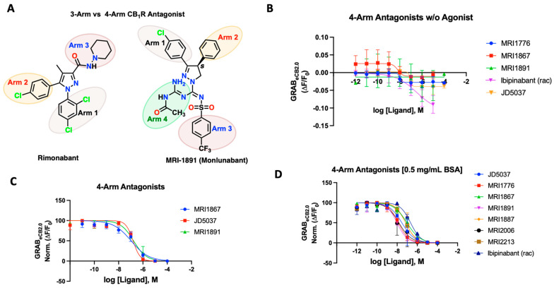(A) Structural depiction of prototypical 3-arm and 4-arm CB1R antagonists. (B) Fluorescent signal of 4-arm modulators ibipinabant, JD5037, MRI-1867, MRI-1891, and MRI-1776 at inhibiting GRABeCB2.0 basal fluorescence, as determined by averaging ΔF/F0 between 4 and 5 min. (C) Antagonist potency of select 4-arm ligands JD5037, MRI-1867, and MRI-1891 at inhibiting GRABeCB2.0 fluorescence in presence of 300 nM of CP55940 and in absence of BSA, as determined by averaging ΔF/F0 normalized between 4 and 5 min. (D) Antagonist potency of select 4-arm modulators ibipinabant, JD5037, MRI-1776, MRI-1867, MRI-1891 MRI-1887, MRI-2213, and MRI-2006 (all compounds tested were enantiomerically pure (S)-isomer) at inhibiting GRABeCB2.0 fluorescence in presence of 300 nM of CP55940 with 0.5 mg/mL BSA, as determined by averaging ΔF/F0 normalized between 4 and 5 min. IC50 values were calculated by GraphPad Prism 9. Data represent mean ± SEM from minimum three independent experiments (vide infra, Table 2).
