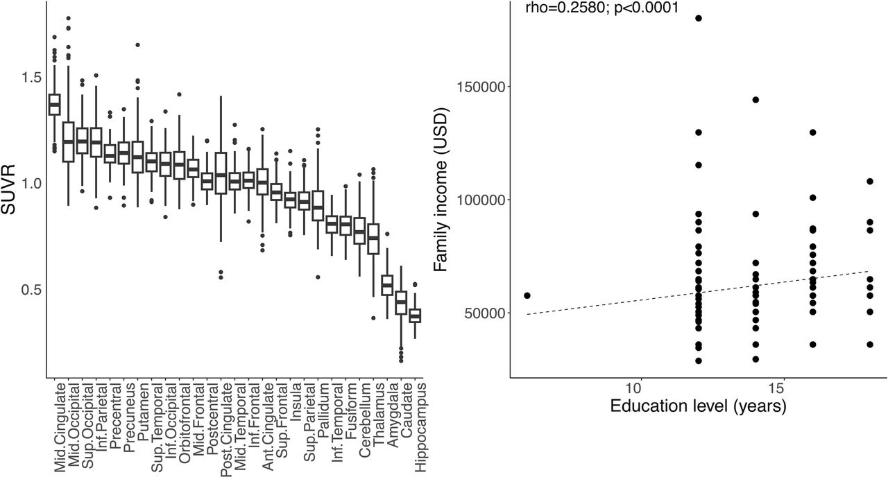 The distribution of regional SUVR and the association between family income (USD) and education level (years).