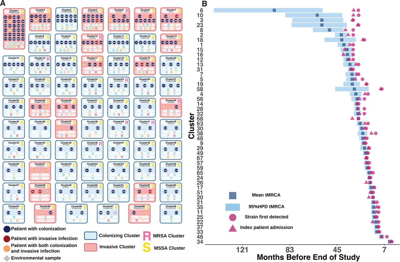Cluster characterization and origin analysis(A) Transmission clusters (n=69) represented as boxes, colored according to invasive status (red: invasive clusters; blue: colonizing clusters) and annotated with methicillin resistance status (R: MRSA; S: MSSA). Within each cluster, patient status is indicated by colored dots (blue: colonization only; red: infection only; yellow: both colonization and infection), with individual patient IDs shown as numbers. Environmental isolates are marked by grey diamonds. Two bars below each cluster box indicate: (1) the specific NICU section where the cluster was detected, and (2) the assigned treatment team at the time of detection. Among all transmission clusters identified, 19 were classified as invasive. (B) Comparative analysis of cluster tMRCA (time to most recent common ancestor) versus index patient admission dates, revealing 50% of clusters originating from index patient admission. X-axis (Months Before End of Study) represents the number of months prior to completion of study period.
