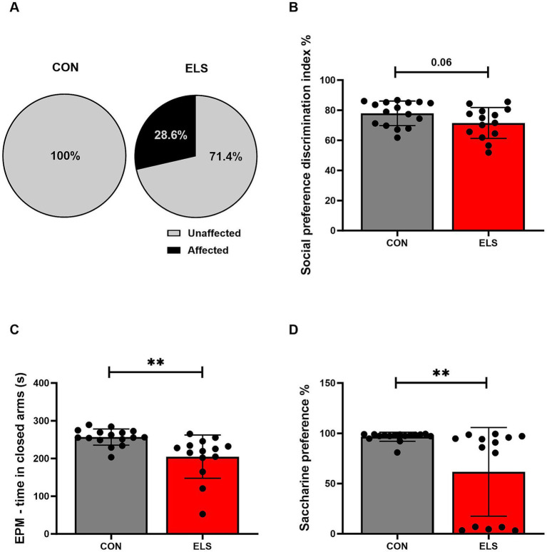 Long-term consequences of ELS exposure on adult socio-emotional behavioral traits. The effects of ELS on different behavioral parameters were calculated using Pearson’s chi-squared test for behavioral profiling (A) and two-tailed, unpaired t-tests for individual behavioral parameters (B–D). Significant results are indicated as *p ≤ 0.05 and **p ≤ 0.01. (A) Results of behavioral profiling, with affected and unaffected animals presented as percentage distributions. (B) Social preference discrimination index. (C) Time spent in closed arms in the EPM. (D) Saccharine preference. Social preference discrimination index was calculated as time exploring the novel juvenile/total exploration time (object + juvenile rat) × 100%. The saccharine preference ratio was calculated as the saccharine consumption/total consumption (saccharine consumption + water consumption) × 100%. All bars depict mean ± SD. CON, control (n = 16); ELS, early life stress (n = 14).