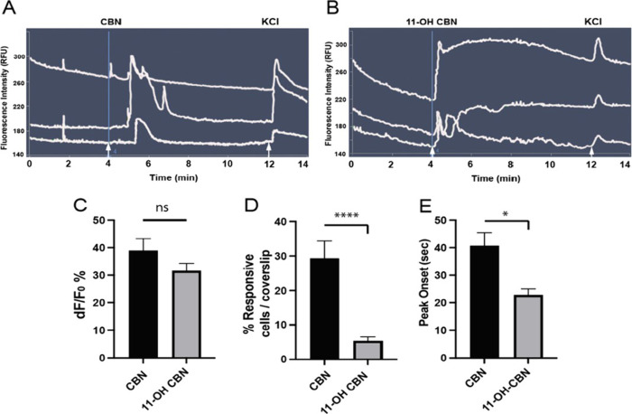 CBN and 11-OH CBN activate DRG neurons with similar response magnitudes but differ in their percentage of neurons activated and time to peak response. Calcium response traces of representative cultured mouse DRG neurons following application of CBN (A) and 11-OH CBN (B) 50 μM × 15 s (arrow). While CBN and 11-OH CBN response magnitudes did not differ (ns = not significant) (C), 11-OH CBN activated a lower percentage of DRG neurons (****p < 0.0001) (D) and reached peak responses more quickly (*p = 0.011) (E) as compared to CBN. Mean value ± SEM (CBN: n = 59; 11-OH CBN: n = 29, two-tailed t test, Prism GraphPad).