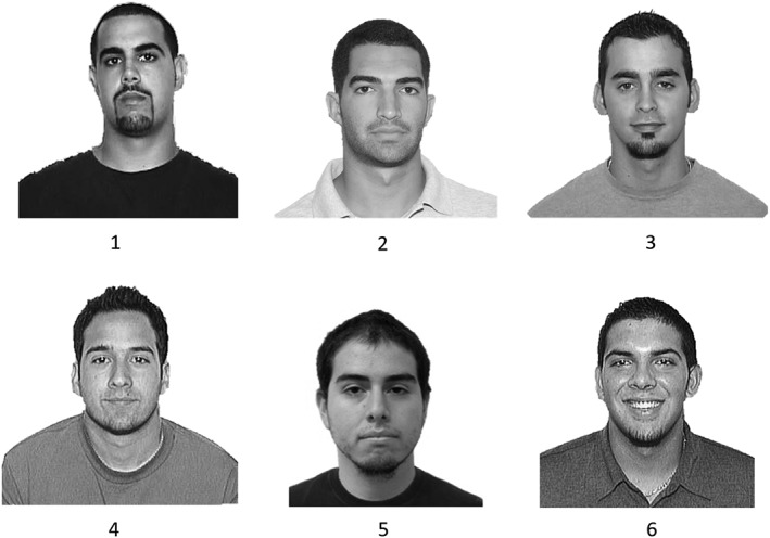 Example target‐present lineup (participants viewed all lineups in color). The target appears in Position 5