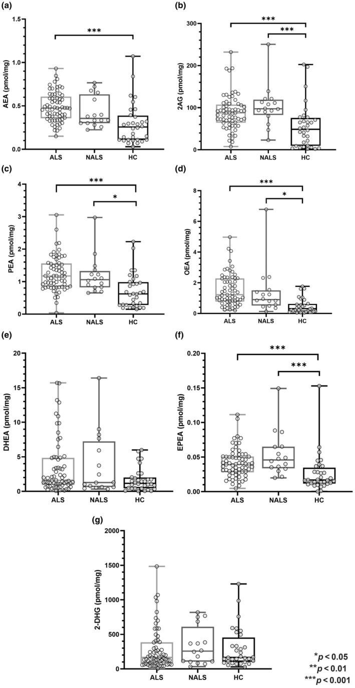 Comparison of circulating eCBome mediator levels amongst the three groups: ALS, NALS and HCs. Box‐and‐whisker dot plots comparing the levels of serum eCBome mediators (expressed as pmol/mg of lipid extract weight) between ALS, NALS and HC groups. Comparisons between the three groups were performed by means of the non‐parametric Kruskal–Wallis test, and post hoc comparisons by means of the Mann–Whitney U test using Bonferroni correction. *Significant p < 0.05; **significant p < 0.01; ***significant p < 0.001. 2‐AG, 2‐arachidonoylglycerol; 2‐DHG, 2‐docosahexaenoylglycerol; AEA, N‐arachidonoylethanolamine; ALS, amyotrophic lateral sclerosis; DHEA, docosahexaenoylethanolamide; eCBs, endocannabinoids; EPEA, eicosapentaenoylethanolamide; HC, healthy controls; NALS, neurological disease control; OEA, oleoylethanolamide; PEA, palmitoylethanolamide.