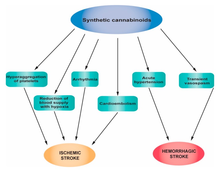 Main pathophysiological mechanisms of strokes associated with synthetic cannabinoid abuse.