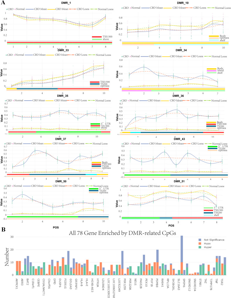 DMR (differentially methylated region) analysis. A Differentially methylated regions(DMR_1, DMR_34, DMR_35, DMR_36, DMR_37,DMR_43 and DMR_50) demonstrate that the expression of these genes in CBD cases is apparently higher than in the control group; DMR_10, DMR_33 and DMR_51 are hypomethylated between CBD cases and the control group. (method = "ProbeLasso"; minProbes = 7;adjPvalDmr < 0.05 (adjust.method = "BH")mean LassoRadius = 375; minDmrSep = 1000, minDmrSize = 50, adjPvalProbe < 0.05.). B The bar chart shows that TOP 78 hyper-enriched gene by DMR-related CpGs among all 5,863 genes