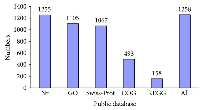 Numbers of differentially expressed genes (DEGs) annotated in five public databases.