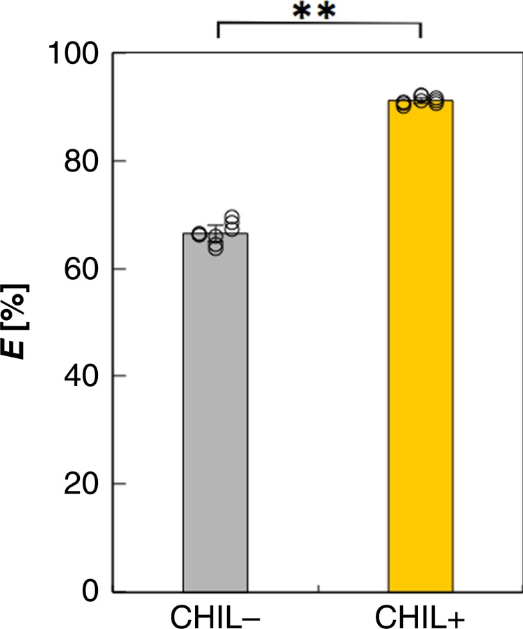 Effects of CHIL on in vivo specificity of CHS.E values of CHS-catalyzed reactions during the production of CLC from p-coumaric acid in E. coli cells harboring pET15b-Gm4CL-3-GmCHS-1 (CHIL–) or pET15b-Gm4CL-3-GmCHS-1-GmCHIL (CHIL+) are shown. Data are presented as the average of three independent determinations of three biological replicates (±standard error). **P < 0.01 (Student’s t-test). The underlying data are provided in the Source Data file.