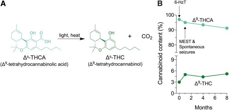 Δ9-THCA is chemically unstable. (A) Chemical structure of Δ9-THCA and schematic of its decarboxylation to Δ9-THC. Decarboxylation of Δ9-THCA is catalyzed by light and heat. (B) Cannabinoid content of the Δ9-THCA-dominant cannabinoid extract over time. Δ9-THCA was stored protected from light at −30°C. Arrows represent when experiments were conducted.