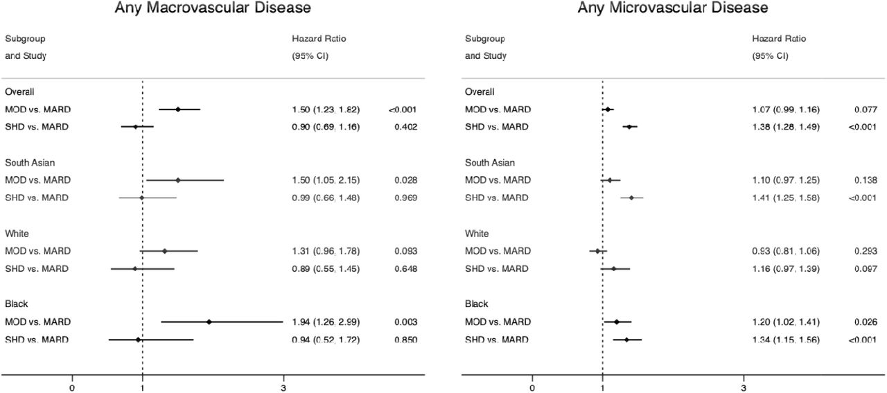 Risk of incident vascular complications by T2DM subgroup and ethnic group amongst those free of complications at baseline*All models age-sex adjusted. Macrovascular = any of CVD, stroke, heart failure, Microvascular = any of retinopathy, neuropathy, chronic kidney disease