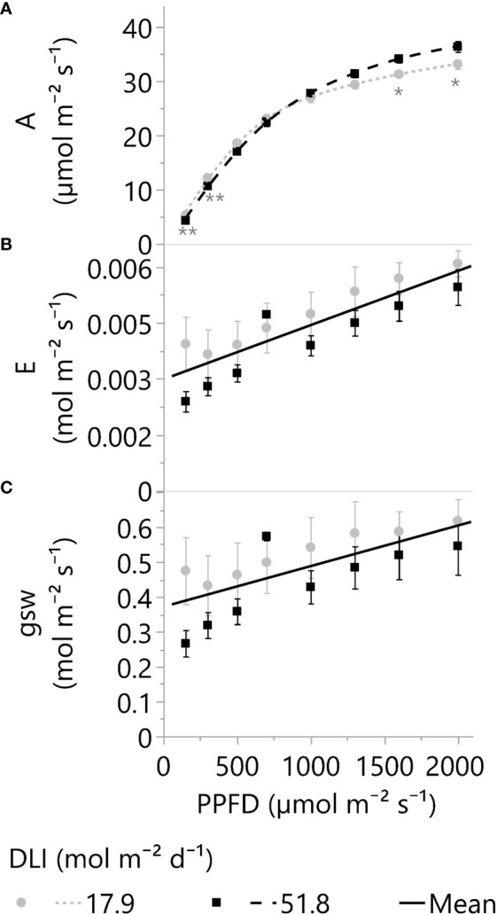 (A) Net photosynthetic rates or A, (B) transpiration rate or E, and (C) stomatal conductance or gsw of leaves adapted to greenhouse DLI levels of ~18 or 52 mol m-2 d-1. Young, fully expanded, and light-exposed leaves from both DLI treatments were evaluated at PPFDs of 150, 300, 500, 700, 1000, 1300, 1600, and 2000 µmol m⁻² s⁻¹ (Blue 18% and Red 82%) using a Li-6800 + 6800-01A. Asterisks indicate differences between the two DLI treatments at each PPFD level by one (*) or two (**) tailed T-tests (α 0.05). Split-plot analysis for E and gsw (factors: DLI, PPFD, Time of the day, and DLI*PPFD) indicates differences only because of the PPFD (p <0.001). The E and gsw linear equations (solid lines) are 2.984e-3 + 1.45e-6*PPFD and 0.3715 + 1.16e-4*PPFD, respectively. Dots and squares represent the mean, and error bars represent the standard errors for each DLI-PPFD combination. In all cases, N=6, n=3, and OU=1 leaf per plot.