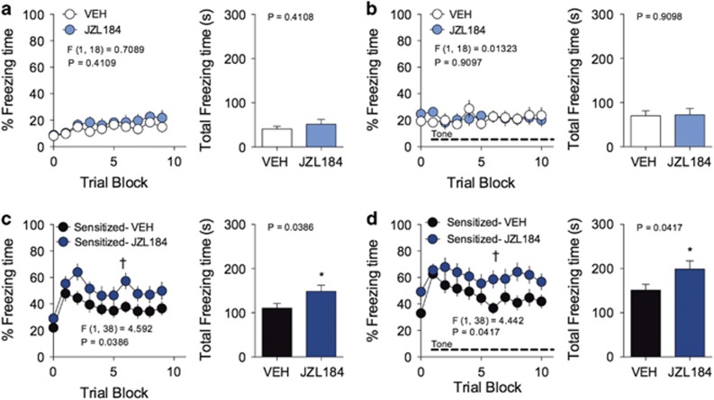 JZL184 enhances fear sensitization. (a) Effects of JZL184 on freezing of non-conditioned mice placed in a novel context. (b) Effects of JZL184 on freezing of non-conditioned mice placed in a novel context during the presentation of auditory tones. (c) Effects of JZL184 on freezing of contextual-conditioned mice placed in a novel context. (d) Effects of JZL184 on freezing of contextual-conditioned mice placed in a novel context with the presentation of auditory tones. †P<0.05 significant effect of drug treatment by two-way ANOVA. *P<0.05 significantly different from vehicle treatment by unpaired two-tailed t-test (bar graphs). Error bars represent s.e.m. n=10 mice per group. ANOVA, analysis of variance.