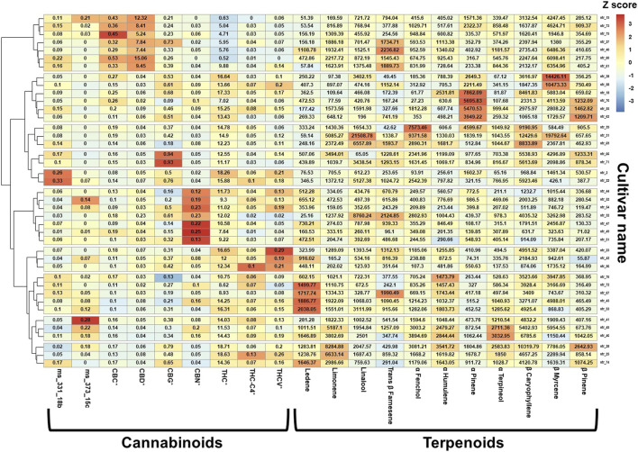 Cannabinoids and terpenoids relative dose in the consumed cultivars. The values in each box are the absolute concentrations of the specific phytocannabinoid (% w/w) or terpenoid (ppm) within each cultivar, and the color scale represents the z-scaled phytocannabinoid and terpenoid concentration variations between cultivars. *For each phytocannabinoid, the concentrations of the acid and its neutral counterpart were summed and reported as the total content; Method used: package "pheatmap", function pheatmap, with the (default): distance measure used in clustering rows "euclidean", clustering method used is "complete" on z scored data scaled by row; THC (-)-Δ9-trans-tetrahydrocannabinol; CBD, cannabidiol; CBC, cannabichromene; CBG, cannabigerol; CBN, cannabinol; THC-C4 (-)-Δ9-trans-tetrahydrocannabinol-C4; THCV (-)-Δ9-trans-tetrahydrocannabivarin.