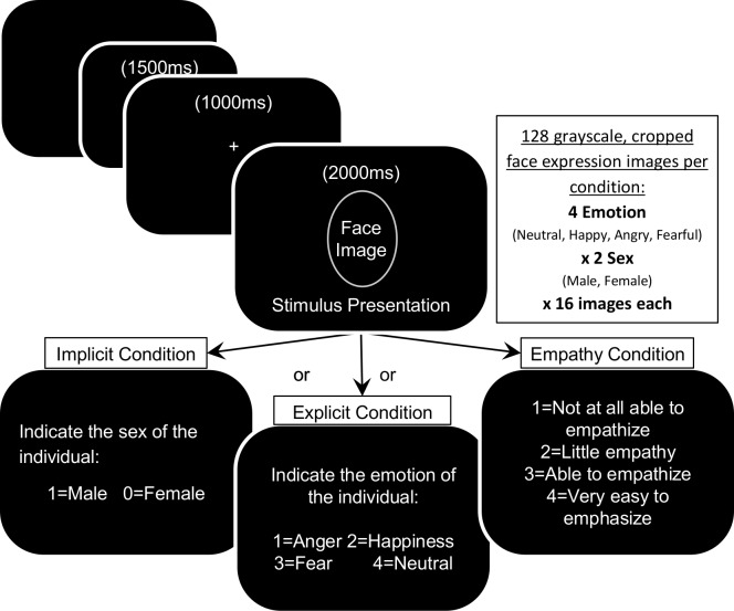 Summary of Experimental Design.Each block began with detailed instructions for the condition to be completed. Participants were reminded before each facial expression to identify the sex, emotional expression, or own ability to empathize with the depicted expression using the ratings shown. All completed each of the three conditions in a randomized order, counterbalanced across participants.