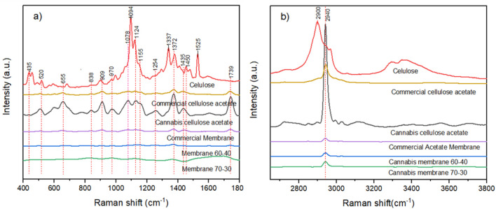 Raman spectra of cellulose, cellulose acetate, and electrospun membranes derived from Cannabis sativa: (a) 400–1800 cm−1 fingerprint region, (b) 2,600–3800 cm−1 high-wavenumber region.