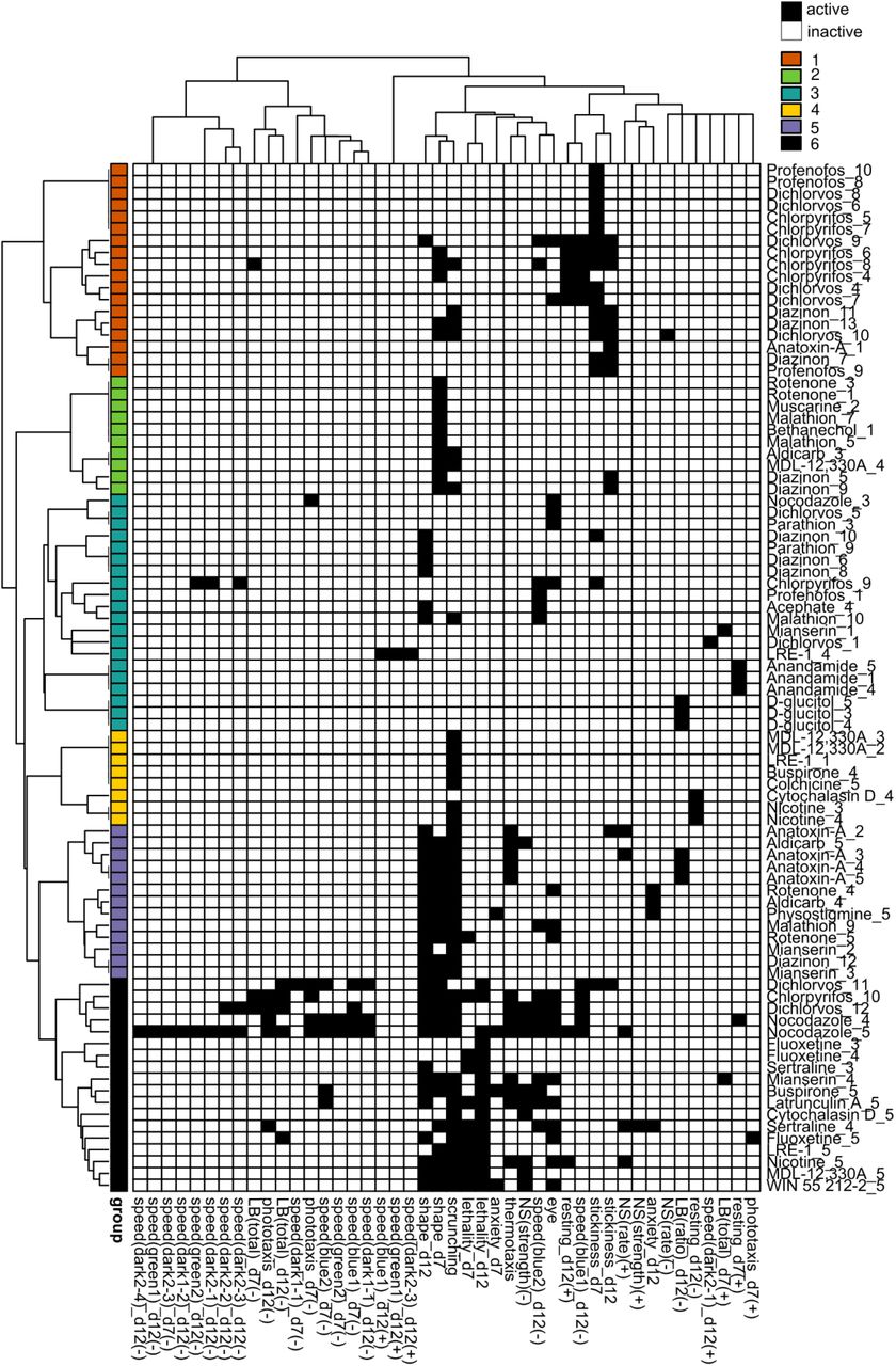 Hierarchical clustering of regenerating phenotypic barcodes.Active outcome measures for each chemical concentration are shown in black. Outcome measures that can have effects in both directions are separated into either the positive (+) or negative (-) direction. Only active chemical concentrations and outcome measures are shown. Numbers in chemical names refer to the respective test concentration, with 1 as the lowest tested concentration, see Table 1. Hierarchical clustering was performed using binary distance and Ward’s method. Six distinct clusters were identified with similar phenotypic profiles: Cluster 1: effects on stickiness, Cluster 2: abnormal body shapes, Cluster 3: hits in miscellaneous endpoints, Cluster 4: primarily scrunching defects, Cluster 5: effects in scrunching and body shape with the addition of other outcomes, Cluster 6: lethal/systemic toxicity.