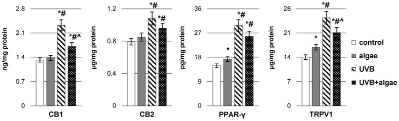 The impact of Nannochloropsis oceanica microalgae extract on the levels of receptors, including cannabinoid receptor type 1 (CB1), cannabinoid receptor type 2 (CB2), peroxisome proliferator-activated receptor gamma (PPAR-γ), and transient receptor potential cation channel subfamily V member 1 (TRPV1), in various keratinocyte groups: control (n = 5); cultured with algae extract for 24 h (n = 5); irradiated with UVB (60 mJ/cm2) (n = 5); and irradiated with UVB (60 mJ/cm2) and subsequently cultured with algae extract for 24 h (n = 5). Mean values ± standard deviation (SD) and statistically significant differences for p < 0.05 are indicated as follows: *—vs. control group; #—vs. algae group; and ^—vs. UVB group.