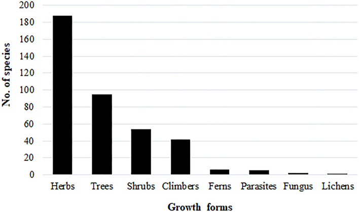 Species distribution according to plant growth forms.