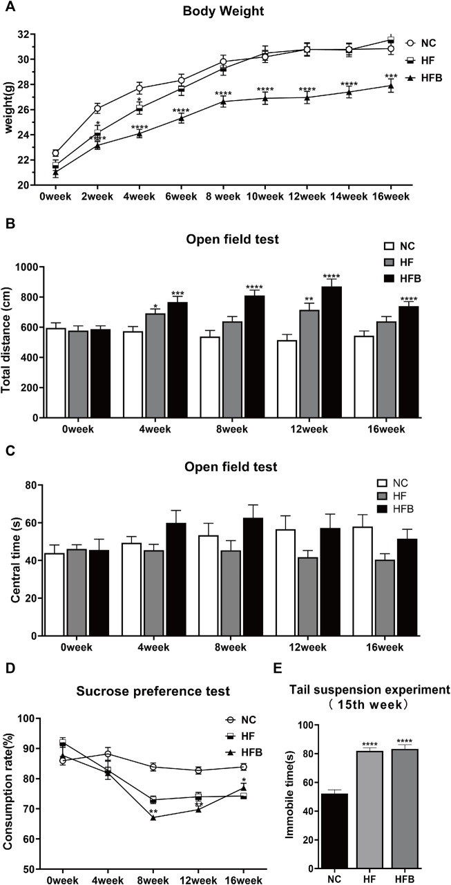 Behavioral changes in ApoE−/− mice fed continuous high-fat combined with bound stimulation. (A) Measurement of body weight. (B) Total distance traveled in the open-field test. (C) The overall duration of stay in the central area of the open-field test. (D) Sucrose preference test. (E) Immobility time of the tail suspension experiment. n = 14, mean ± SEM. *, p < 0.05; **, p < 0.01; ***, p < 0.005; ****, p < 0.001; vs. NC.