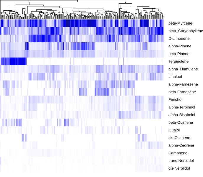 Variation in terpene abundance.Abundance of the twenty most abundant terpenes across 240 cultivars sorted with the most abundant (β-myrcene) at the top. Individual samples were normalized to percent of total terpene present, euclidean distance was calculated with the R dist command prior to clustering with hclust using the “complete” method.