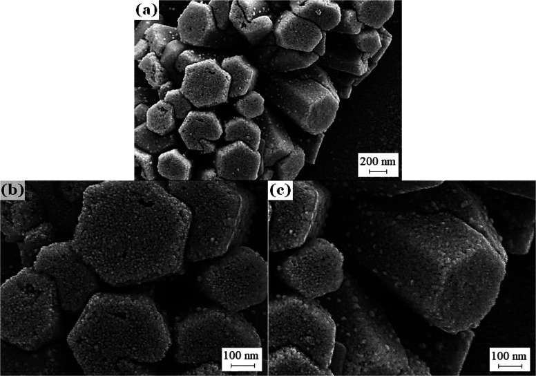 SEM images of (a) barbed fibers with BSA adsorbed, (b) polar planes, and (c) nonpolar planes.