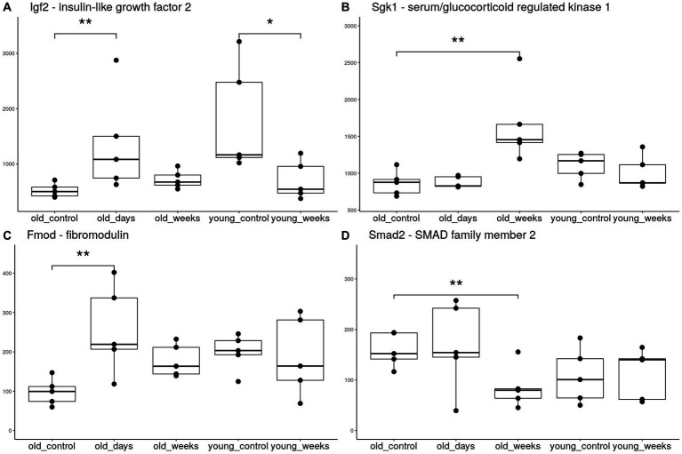 Boxplots of hippocampal expression of selected genes. The groups included young and old mice 5 days or 5 weeks after treatment with THC or vehicle solution (control). Each group consists of 5 mice. **p < 0.05 significance indicators denote significant differential expression after applying the false discovery rate correction, *p < 0.05 significant differential expression before correction.