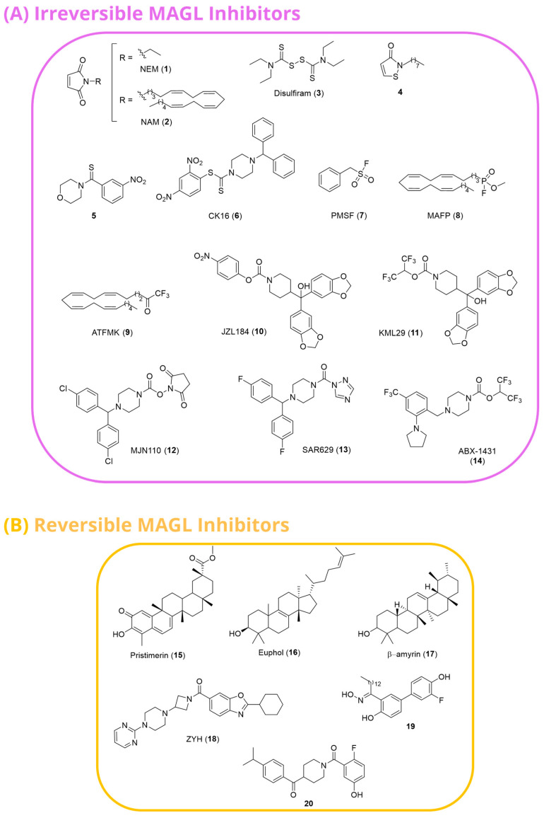 Structures of some representative irreversible (A) and reversible (B) MAGL inhibitors reported in the literature before 2020.