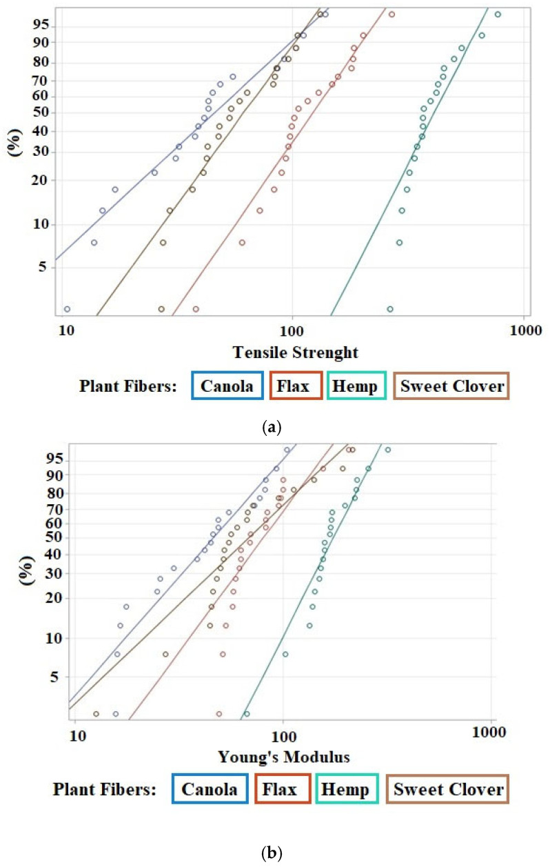 Weibull probability for mechanical properties of the studied plant fibers (X-axis is a log scale): (a) Weibull probability for tensile strength; (b) Weibull probability for Young’s modulus.