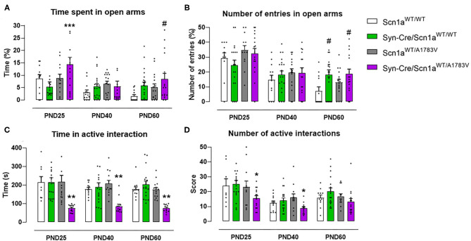 Evolution of different behavioral parameters recorded in the elevated plus maze (upper panels) and in the social interaction test (lower panels) in Syn-Cre/Scn1aWT/A1783V mice and their three control groups (Scn1aWT/WT, Syn-Cre/Scn1aWT/WT, and Scn1aWT/A1783V mice) measured at different postnatal days in the range PND25–PND60. Values are means ± SEM of 11–21 animals per group. Data were assessed by using two-way ANOVA for repeated measures followed by the Bonferroni test (*p < 0.05, **p < 0.01, ***p < 0.005 vs. control groups; #p < 0.05 vs. Scn1aWT/WT group).