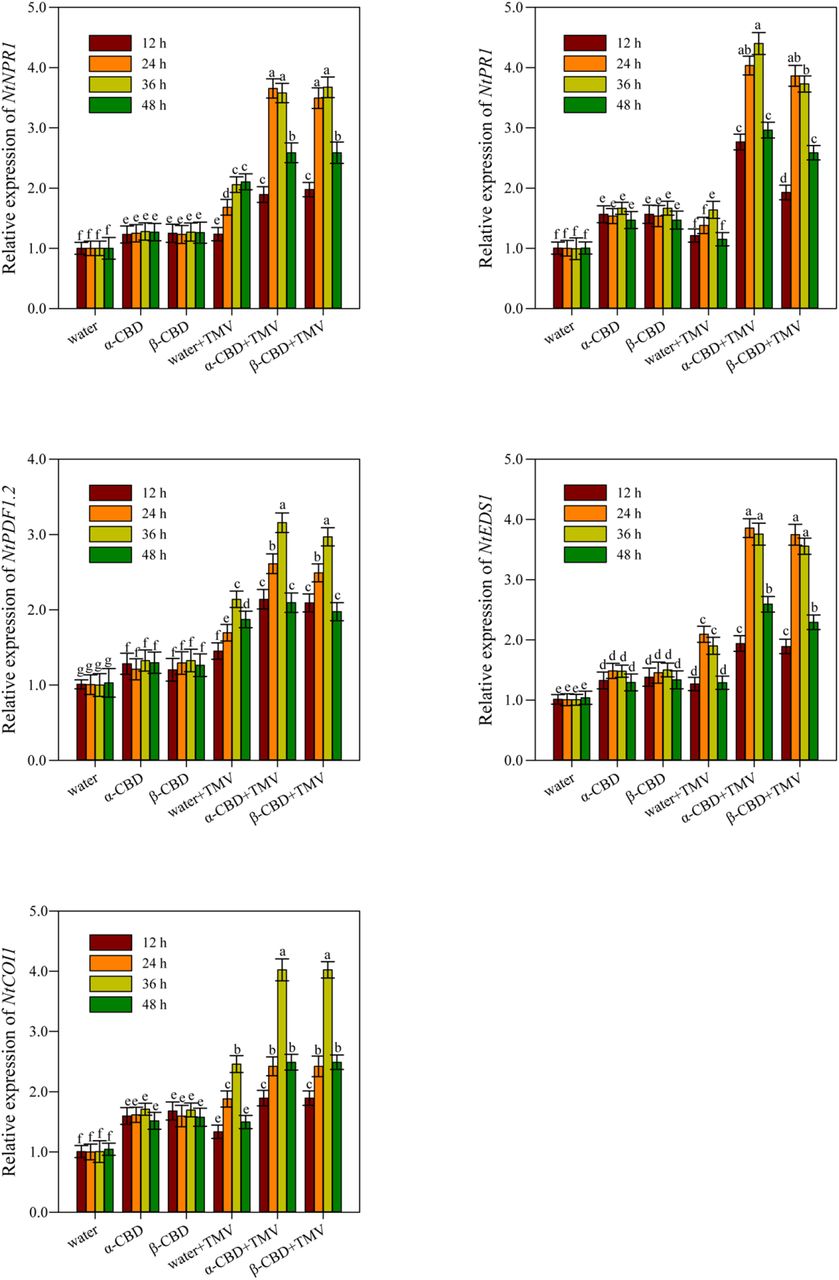 Relative expression of key genes of JA (COI1 and PDF1.2) and SA signaling pathway genes (PR1, NPR1 and EDS1).