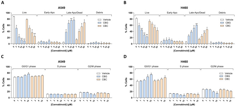 Concentration-dependent effects of CBG and CBC (24 h treatment) on early and late apoptosis (A,B) and cell cycle (C,D) in A549 and H460 cells, as determined by the Muse® Annexin V & Dead Cell Kit and the Muse® Cell Cycle Kit. Cells were incubated for 24 h with the respective cannabinoid at the specified concentrations or its vehicle. In panels (A,B), cells were stained using the Muse® Annexin V & Dead Cell Kit to distinguish between living (Live), early apoptotic (Early-Apo), late apoptotic/dead (Late-Apo/Dead), and non-apoptotic debris. Data in panels (C,D) were obtained using the Muse® Cell Cycle Kit, with propidium iodide (PI) staining to assess DNA content and distinguish between different cell cycle phases. Data represent the mean ± SEM of 3 biological replicates. * p ≤ 0.05, ** p ≤ 0.01 vs. corresponding vehicle control; statistical analyses were performed on percentages of gated cells using RM one-way ANOVA with Dunnett’s post hoc test.