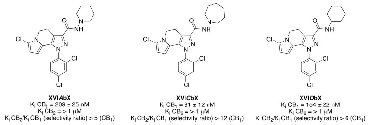 Structure of representative 4,5-dihydro-1H-pyrazolo(4,3-g)indolizine-based derivatives (XVI). Affinities at CB1 and CB2 receptors were assessed by competition of (3H)-CP 55,940 in mouse whole-brain membranes and in CHO cell membranes transfected with hCB2 receptors [56].