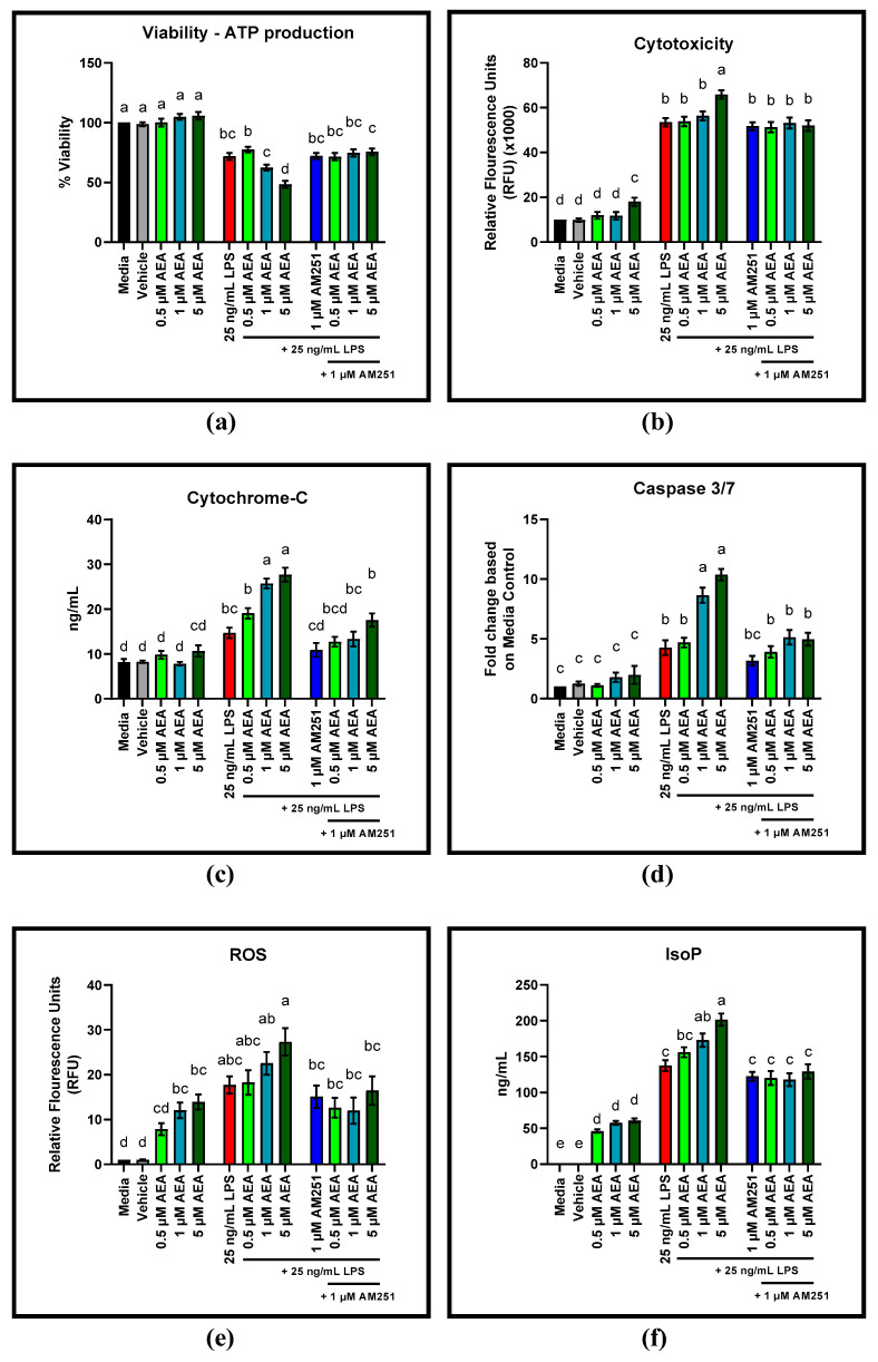 Viability via ATP release, cytotoxicity, cytochrome-c, and caspase 3/7 in bovine aortic endothelial cells (BAEC) (N = 6) treated with 0.5, 1, and 5 µM arachidonoylethanolamide (AEA) and 1 µM cannabinoid receptor-1 (CB1) antagonist AM251 for 4 h, in the absence and presence of 25 ng/mL lipopolysaccharide (LPS) challenge: (a) Viability via ATP production following AEA and 1 µM AM251 treatment; (b) Cytotoxicity following AEA and 1 µM AM251 treatment; (c) Cytochrome-C release following AEA and 1 µM AM251 treatment; (d) Caspase 3/7 activation following AEA and 1 µM AM251 treatment; (e) ROS production following AEA and 1 µM AM251 treatment; (f) IsoP production following AEA and 1 µM AM251 treatment. Statistical analysis: one-way ANOVA, Tukey’s adjustment. a–e: Means with different superscripts are different (p < 0.05).