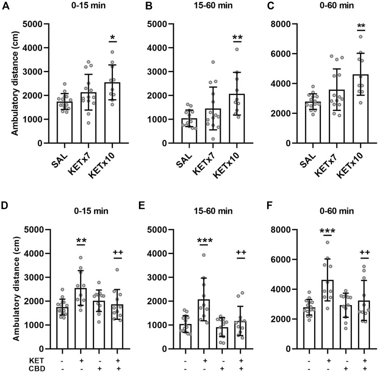 (A–C). Effects of 7-days and 10-days ketamine (KET) administration on horizontal, ambulatory activity in the open-field chamber. The values represent the mean ± SD (n = 10–14 animals per group). Statistical analysis was performed by one-way ANOVA (Bonferroni’s post hoc test). *p < 0.05, **p < 0.01 vs saline (SAL). (D–F). Effects of cannabidiol (CBD) administration on horizontal, ambulatory activity in the open-field chamber, after 10-days KET pretreatment. The values represent the mean ± SD (n = 10–14 animals per group). Statistical analysis was performed by two-way ANOVA (Bonferroni’s post hoc test). **p < 0.01, ***p < 0.001 vs SAL/VEH; ++p< 0.01 vs KET/VEH.