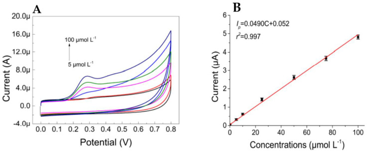 (A): CV responses from mag–MIP/Gr–UiO66/SPE at different CBD concentrations and (B): the linear relationship between peak current and CBD concentration. Reprinted and adapted from ref. [52]. Copyright 2022 Multidisciplinary Digital Publishing Institute (MDPI).
