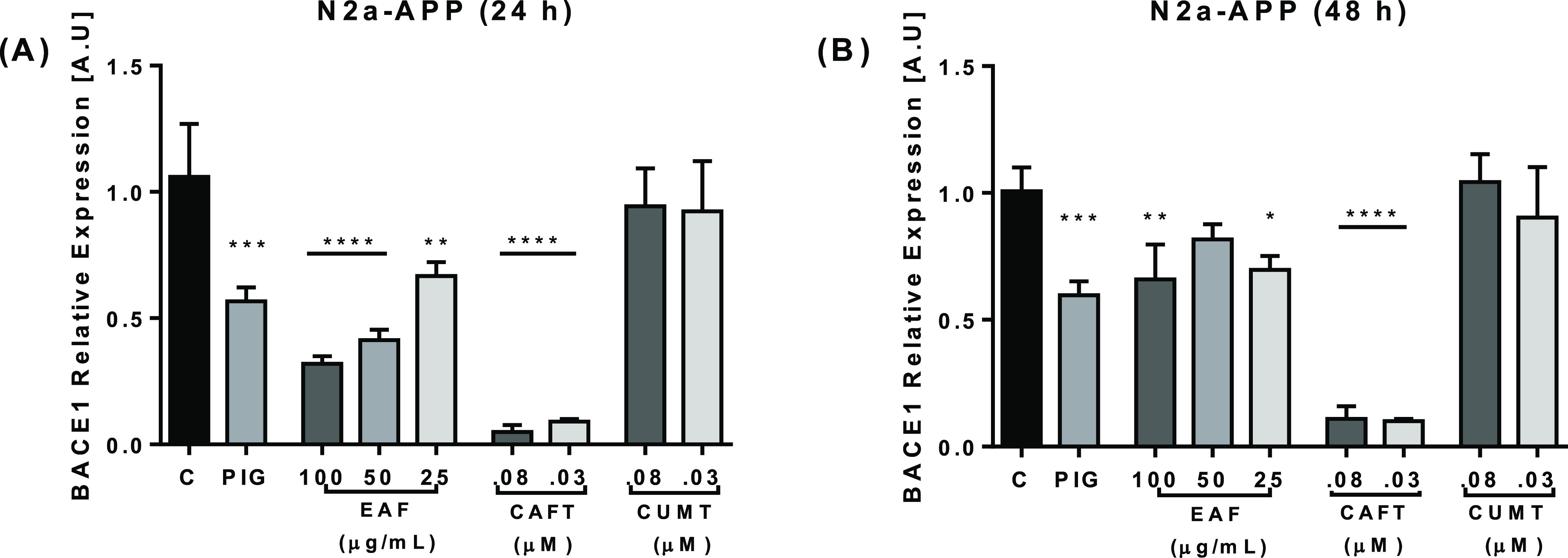 Effects of the EAF, CAFT, and CUMT on BACE 1 gene expression. N2a-APP cells were treated with the EAF at 25–100 μg/mL and CAFT and CUMT at 0.03–0.08 μM for 24 h (A) and 48 h (B). PIG (14 μM) was used as positive control. The result showed significant reduction in BACE 1 gene expression of the EAF and CAFT after 24 h (A), and after 48 h of treatment the EAF decreased activity on gene expression, CAFT showed stable activity suppressing gene expression (B), and CUMT showed no significant changes. EAF-, CAFT-, and CUMT-treated cells were compared with control cells. Data are expressed as mean ± SD, n = 3. The p values were calculated using one-way ANOVA, *p < 0.05; **p < 0.01; ***p < 0.001; ****p < 0.0001.