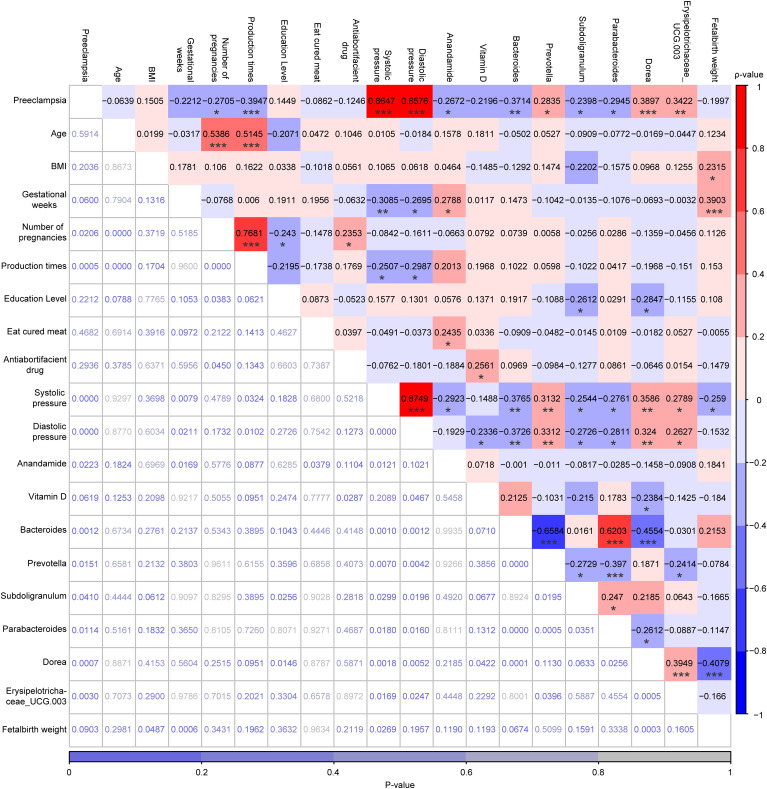 Correlation analysis among PE status, 10 demographic characteristics, plasma levels of AEA, serum levels of VitD, and the relative abundances of the top 6 marker genera for the LP and PE groups, which was performed by Spearman’s Rank Correlation Analysis. The values highlighted in various colors were the correlation coefficients and their scale was on the right. The values at the bottom that were not highlighted were the P-values and their scale was at the bottom. *p < 0.05, **p < 0.01, and ***p < 0.001.