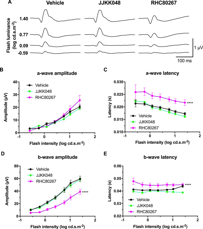 Endocannabinoid modulation affects retinal function in photopic conditions. (A) Mean photopic ERG traces with the different treatments. The animals were adapted to light for 20 min, and then the luminance-response function of each animal was established by presenting progressively brighter flashes (bottom to top). Amplitude, time to peak of photopic ERG a- (B,C) and b-waves (D,E) respectively, plotted as a function of flash luminance. Vehicle, n = 7; JJKK048 (4 mg/kg), n = 10; RHC80267 (10 mg/kg), n = 7. Statistical analysis was performed by two-way ANOVA with Dunnett post-hoc test. The values are mean ± SEM from all animals in each group. **** p < 0.0001 compared to the vehicle.