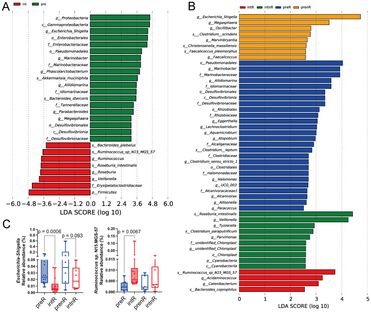 Bar chart comparisons show LDA scores for different microbial taxa across conditions. Panel A features two conditions: red (intR) and green (pre). Panel B displays four conditions with colors red, green, blue, and orange corresponding to intR, intnR, preR, and prenR, respectively. Panel C presents box plots for the relative abundance of Escherichia/Shigella and Ruminococcus sp. N15.MGS-57 populations, with statistical significance annotations.