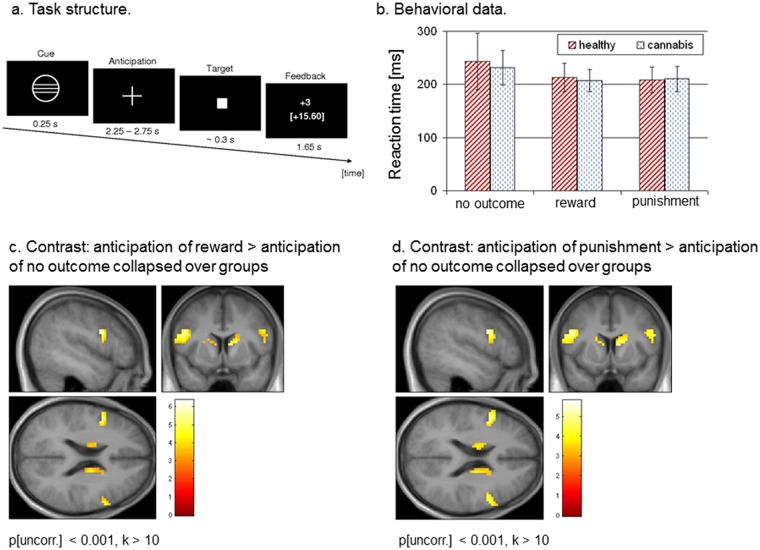 Task design, behavioural data, and fMRI results.a. Design and schematic structure of the applied fMRI paradigm. b. Reaction times for the conditions reward, punishment, and no outcome in healthy subjects and cannabis users. c. Contrast ‘anticipation of reward > anticipation of no outcome’ collapsed over both groups. The initial threshold was set to p[uncorr.] < 0.001 for k > 10. d. Contrast ‘anticipation of punsihment > anticipation of no outcome’ collapsed over both groups. The initial threshold was set to p[uncorr.] < 0.001 for k > 10.