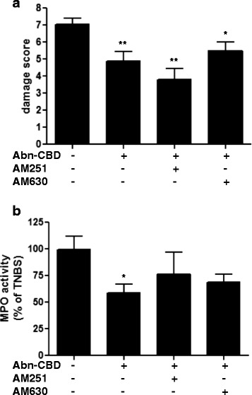 The effects of Abn-CBD treatment in the presence of CB antagonists on macroscopic damage score and MPO activity. TNBS-treated mice were given AM251, AM630 and/or Abn-CBD (all at 5 mg/kg) twice daily for 3 days. Macroscopic damage score (a) and myeloperoxidase activity (b) were determined at the end of the experiment, 24 h after the last dose of drug. Abn-CBD treatment and Abn-CBD + AM251 or AM630 significantly decreased the damage score. Myeoloperoxidase activity was significantly decreased with Abn-CBD. Data were analyzed with one-way ANOVA with Tukey’s post-hoc test *, p < 0.05 and **, p < 0.01 when compared to controls; n = 4-5/group