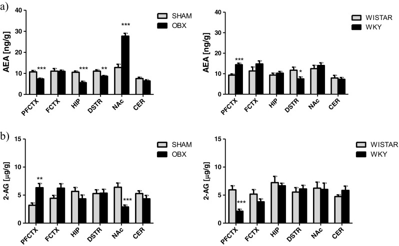Changes in the eCBs levels; AEA (a) and 2-AG (b) in brain structures from OBX and WKY rats. AEA anandamide, 2-AG 2-arachidonoylglycerol, PFCTX prefrontal cortex, FCTX frontal cortex, HIP hippocampus, DSTR dorsal striatum, NAc nucleus accumbens, CER cerebellum, OBX bulbectomized rats, WKY Wistar Kyoto rats. All data are expressed as mean ± SEM. N = 8 rats/group. *p < 0.05; **p < 0.01; ***p < 0.001 vs SHAM-operated or Wistar rats