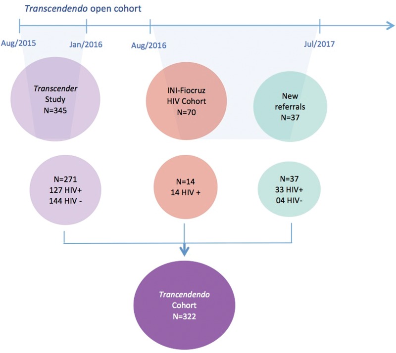 Transcendendo participant flowchart, Rio de Janeiro, Brazil, 2015–2017.