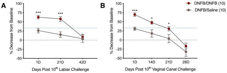 Ten daily DNFB challenges on the labiar skin and in the vaginal canal results in increased sensitivity that persists 21 days post tenth challenge. (A) Percent decrease from baseline measurements 1, 21, and 42 days after 10 labiar challenges, n = 18–27 and (B) 1, 14, 21, and 28 days post vaginal canal challenge. Only post-treatment withdrawal responses that show a 33%, represented by blue dotted line, or greater decrease from baseline withdrawal thresholds are considered hyperalgesic. *** and * represent a p-value of p < 0.001 and p < 0.05 respectively n = 9–18.