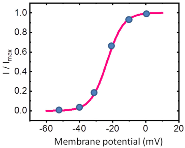 Steady-state activation curve of IK(M) in GH3 cells. The activation curve of IK(M) was derived from GH3 cells bathed in a high-K+ Ca2+-free solution. The relationship between membrane potential and normalized IK(M) is depicted. The current amplitude was measured at the end of a 1 − s depolarizing pulse. The solid blue circles represent the normalized IK(M) values recorded at each test voltage. The smooth sigmoidal red curve, generated by fitting the data points to the Boltzmann equation detailed in the text, highlights the voltage-dependent activation of IK(M), particularly at low voltages.