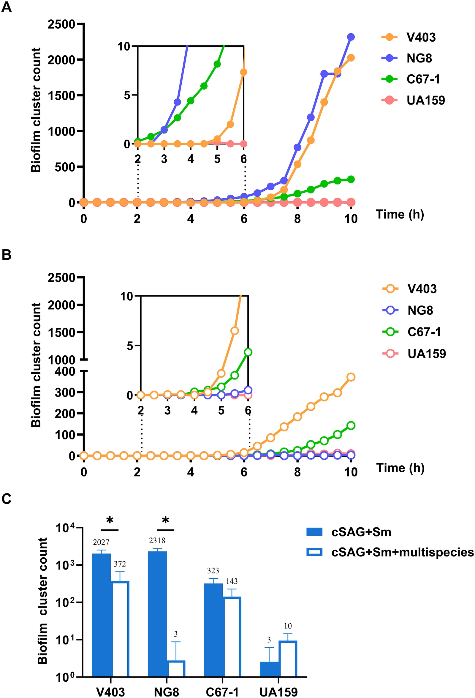 Biofilm cluster formation count among S. mutans (Sm) strains in BioFlux model with crude salivary agglutinin (cSAG) with flow. (A) Time-lapsed biofilm cluster counts within 10 h without multispecies. The inset shows zoom of the plot from 2 h to 6 h initial formation. (B) Time-lapsed biofilm cluster counts within 10h with multispecies. The inset shows zoom of the plot from 2 h to 6 h initial formation. (C) Biofilm cluster counts at 10h time-point. * refers to P < 0.05.